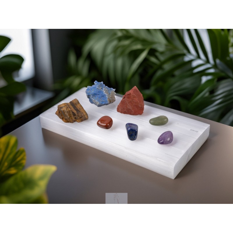 Placa Energética de...