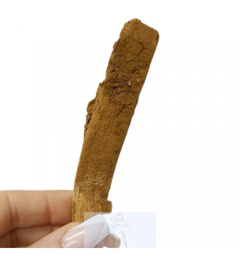 Pau Santo com Canela